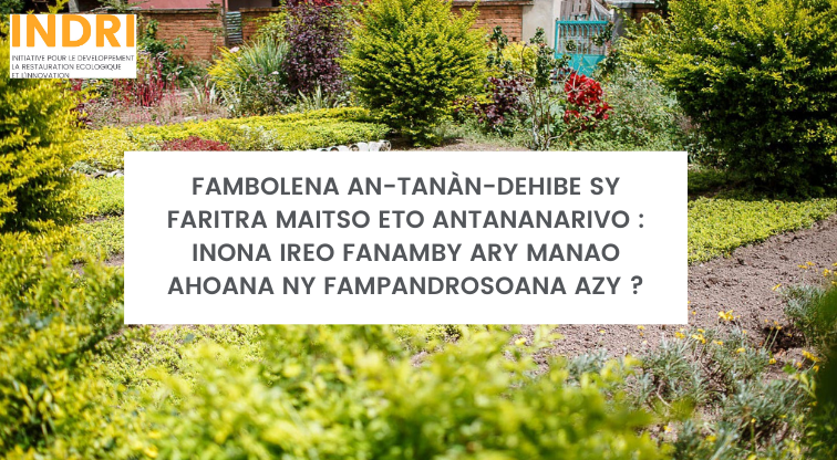 Fambolena an-tanàn-dehibe sy faritra maitso eto Antananarivo : inona ireo fanamby ary manao ahoana ny fampandrosoana azy ?