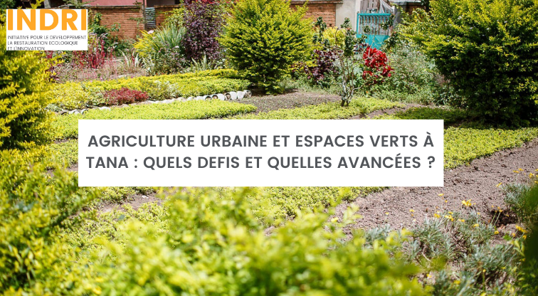 FB Titre