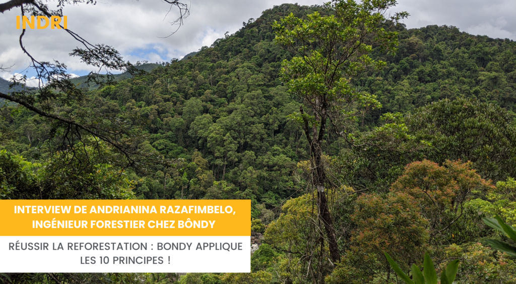 Réussir la reforestation : Bondy applique les 10 principes !