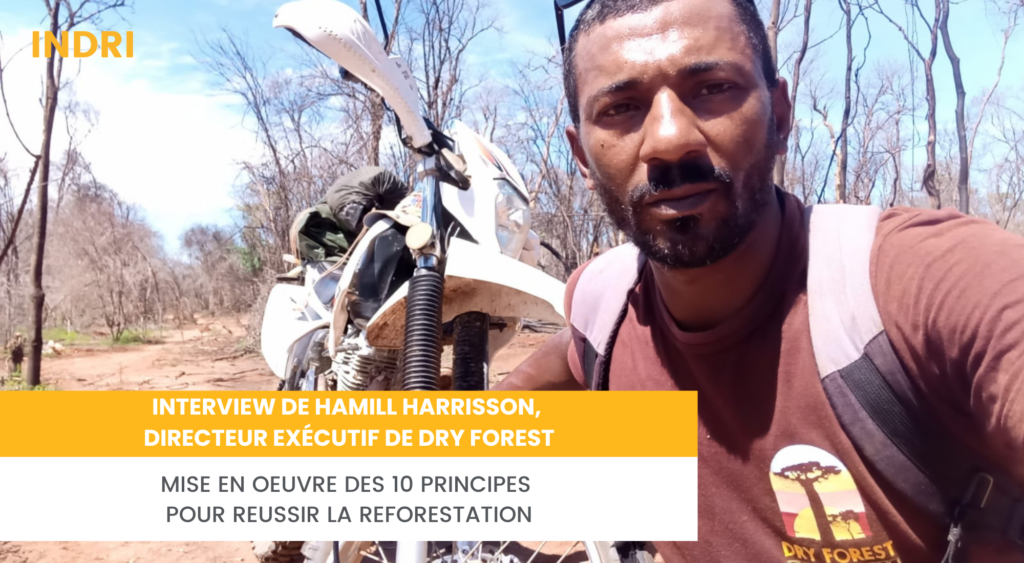 Mise en œuvre des 10 principes par l’ONG Dry Forest