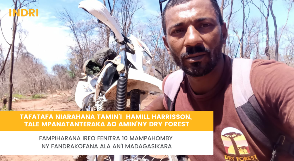 Mampihatra ireo fenitra 10 mampahomby ny fandrakofana ala an’i Madagasikara ny ONG Dry Forest