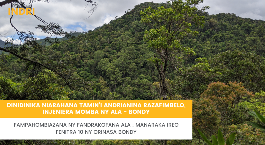 Fampahombiazana ny fandrakofana ala : manaraka ireo fenitra 10 ny orinasa Bondy